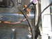 rear resevoir set up (3).jpg
